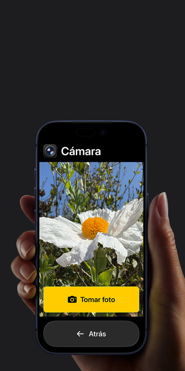 Pantalla de un iPhone 17 Pro que muestra una interfaz simplificada de la app Cámara con una flor blanca en el cuadro y los botones “Tomar Foto” y “Atrás” debajo
