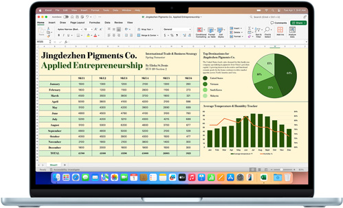 MacBook Air 螢幕上顯示 Microsoft Excel app