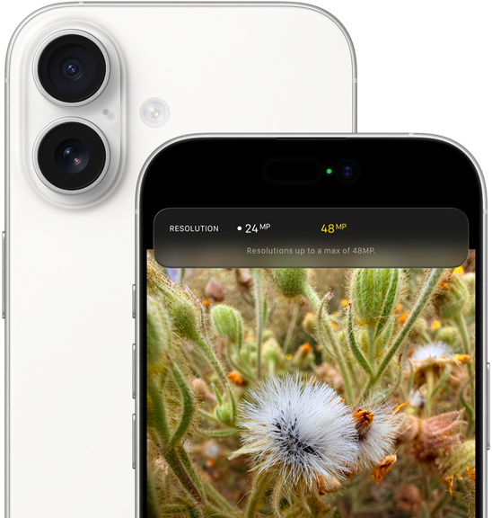 Vit iPhone 17, baksida, rundade hörn, Fusion-dubbelkamerasystem i övre vänstra hörnet, framsida, Dynamic Island, rundade hörn