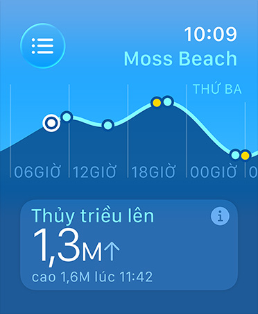 Tides app, metrics: high and low tides, rising and falling tides, line graph estimating times and tide points